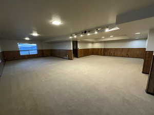Basement featuring a wainscoted wall, wooden walls, and light carpet