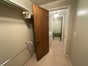 Master Walk in closet featuring light carpet