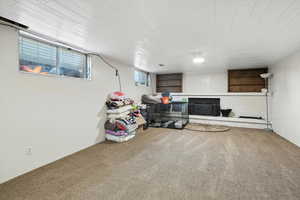 Below grade area featuring carpet floors and wooden ceiling