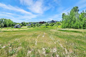 View of yard featuring a view of rural / pastoral area
