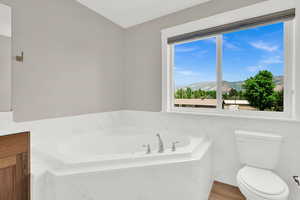 Bathroom with plenty of natural light, vanity, a bath, and a mountain view