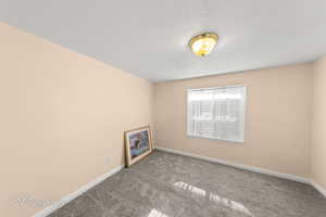 Unfurnished room featuring carpet and a textured ceiling