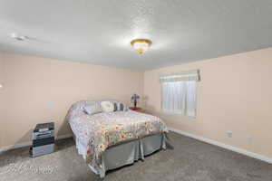 Bedroom with carpet flooring and a textured ceiling