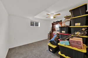Storage room featuring ceiling fan