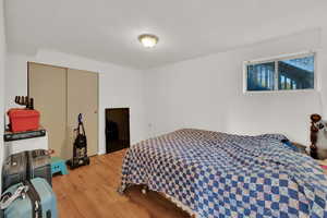Bedroom featuring light wood-style flooring and a closet