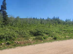 View of wooded area