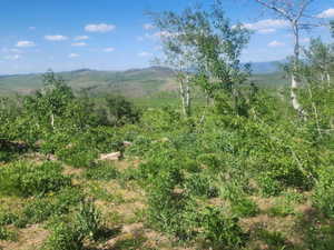 View of mountain background