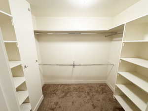 Walk in closet with carpet