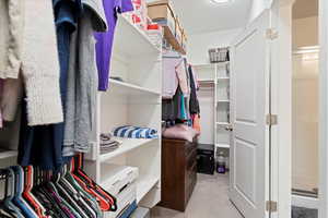 Spacious closet with carpet