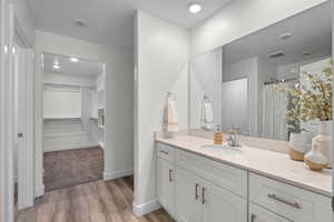 Bathroom with a walk in closet, vanity, and wood finished floors