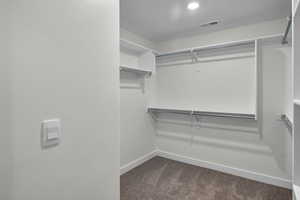 Spacious closet featuring dark carpet
