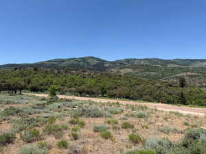Mountain view featuring a heavily wooded area