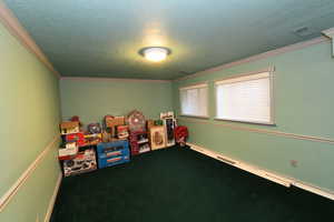 Recreation room featuring a textured ceiling, carpet, and ornamental molding