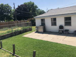 Fences backyard with health grasses