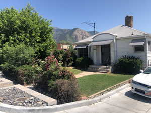Very beautiful front yard