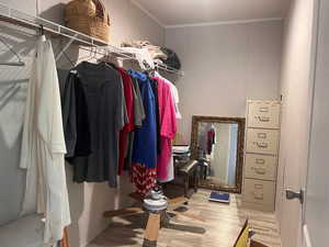 Walk in closet with wood finished floors
