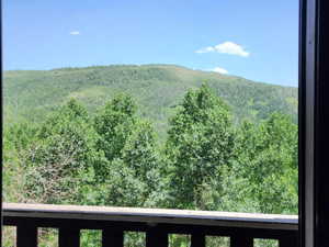 Mountain view with a forest
