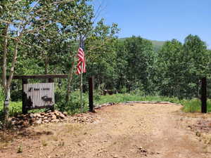 View of dirt / gravel road with a forest view