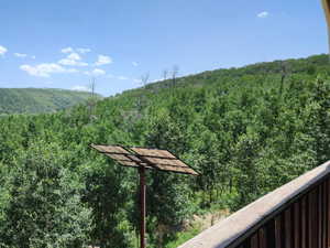 Mountain view with a forest