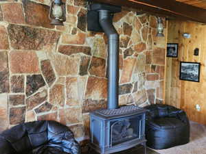 Living area featuring a wood stove, wood walls, and carpet flooring