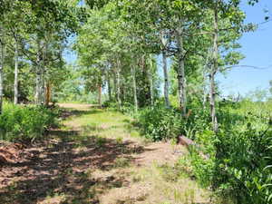 View of undeveloped land