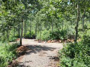 View of woods