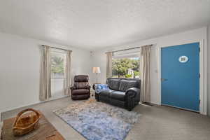 Living area with carpet floors