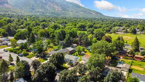 Aerial perspective of suburban area featuring mountains and a forest