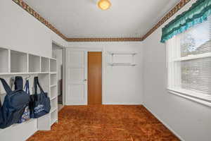 Carpeted spare room featuring healthy amount of natural light