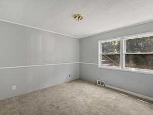 Unfurnished room featuring carpet flooring and a textured ceiling