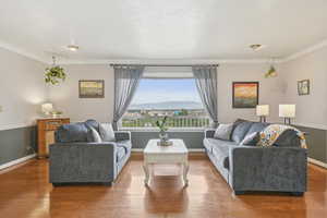 Living area featuring ornamental molding and wood finished floors