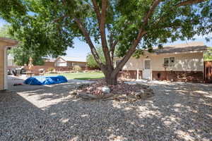 View of yard featuring a patio area