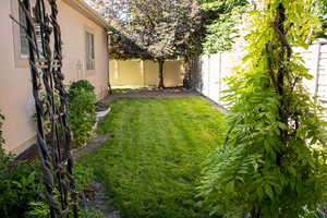 View of fenced backyard