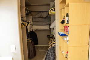 Walk in closet with carpet