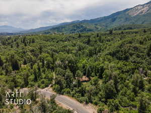 Aerial view of a heavily wooded area and a mountain backdrop