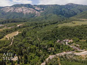 Mountain view featuring a forest