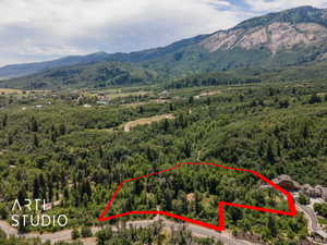 Aerial view of property and surrounding area with a heavily wooded area and property boundaries highlighted