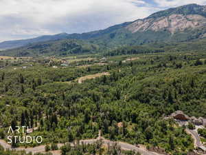 Mountain view with a forest
