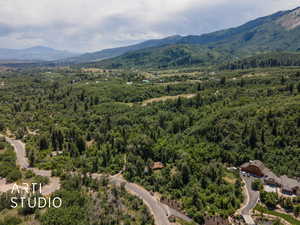 Aerial view of a heavily wooded area