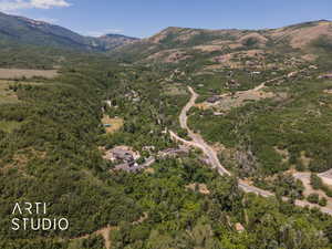 View of mountain background with a heavily wooded area
