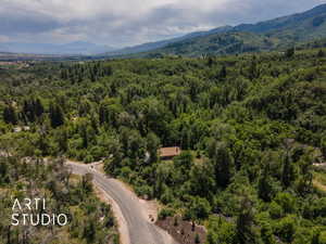Aerial view of a heavily wooded area and mountains