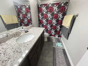 Basement Bathroom with stone tile flooring, vanity, and a shower with shower curtain