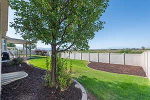 View of fenced backyard