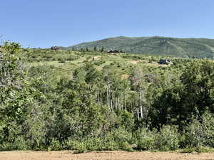 View of mountain background