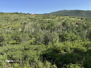 Mountain view
