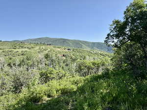 Mountain view