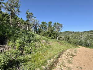 View of wooded area