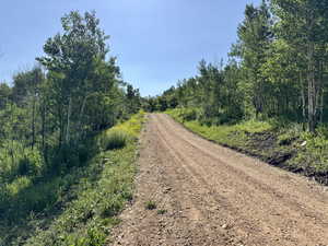 View of dirt / gravel road
