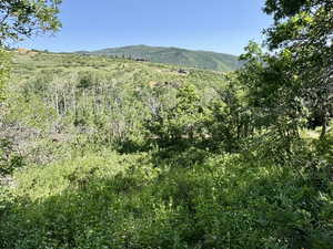 View of mountain background