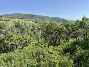 View of mountain background